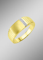 Mattierter Herrenring mit 6 Diamanten 