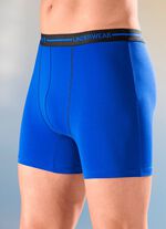 Viererpack Pants, uni mit Elastikbund 