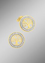 Moderne Lebensbaum Ohrstecker 