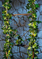 LED-Girlande aus wetterfestem Kunststoff mit 40 Mini-LEDs GRÜN