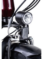 E-Bike Comfort Plus 5.0 von Saxonette 