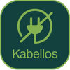BADERde_CH1Logo_Kabellos_Hammersmith_dunkel