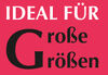 BADERde_CH1IdealFuerGrosseGroessen