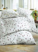 &raquo;Janine&raquo; Bettw&auml;sche-Garnitur 