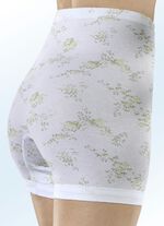 F&uuml;nferpack Unterhosen mit Bl&uuml;tendessin 