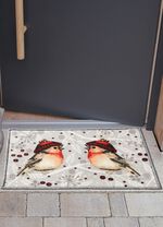 Fussmatte mit rutschhemmender R&uuml;ckseite 