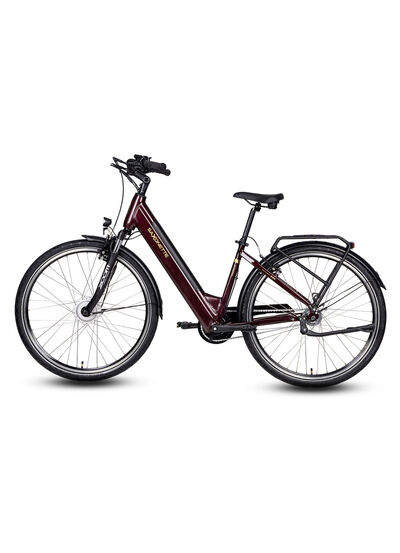 E-Bike Comfort Plus 5.0 von Saxonette 