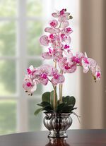 Farbenpr&auml;chtige Orchidee im Topf ROSA