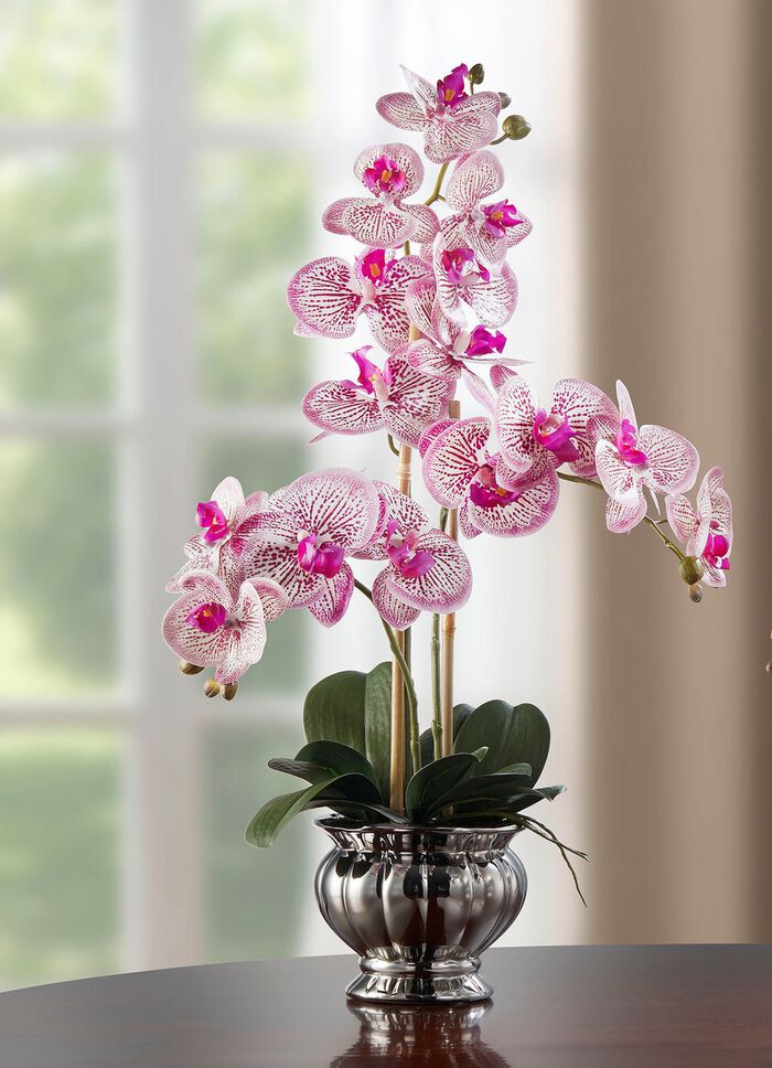 Farbenpr&auml;chtige Orchidee im Topf ROSA