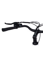 E-Bike Comfort Sport Easy von SAXXX 