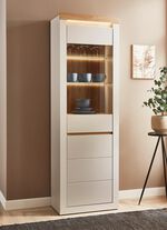 Vitrine mit LED-Beleuchtung, 1-t&uuml;rig 