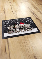 Fussmatte mit rutschhemmend beschichteter Rückseite 