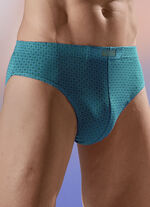 Viererpack Slips, allover dessiniert 