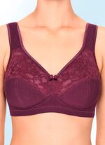 Zweierpack Susa BH mit Baumwolle 