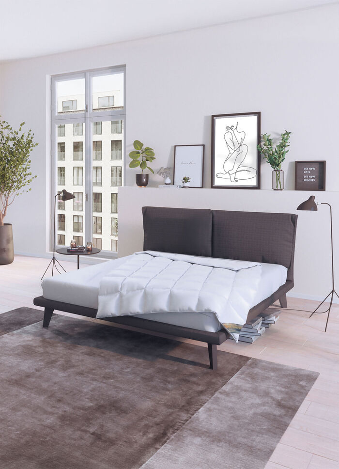 Herrlich warme Daunendecken-Serie Wintertr&auml;ume von Spessarttraum WEISS