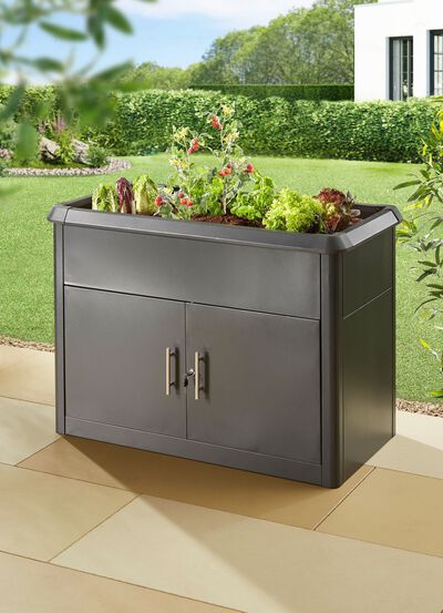 Hochbeet &laquo;Zinnia&raquo; 