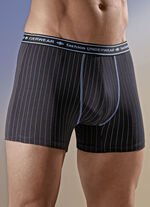 Viererpack Pants mit Streifendessin