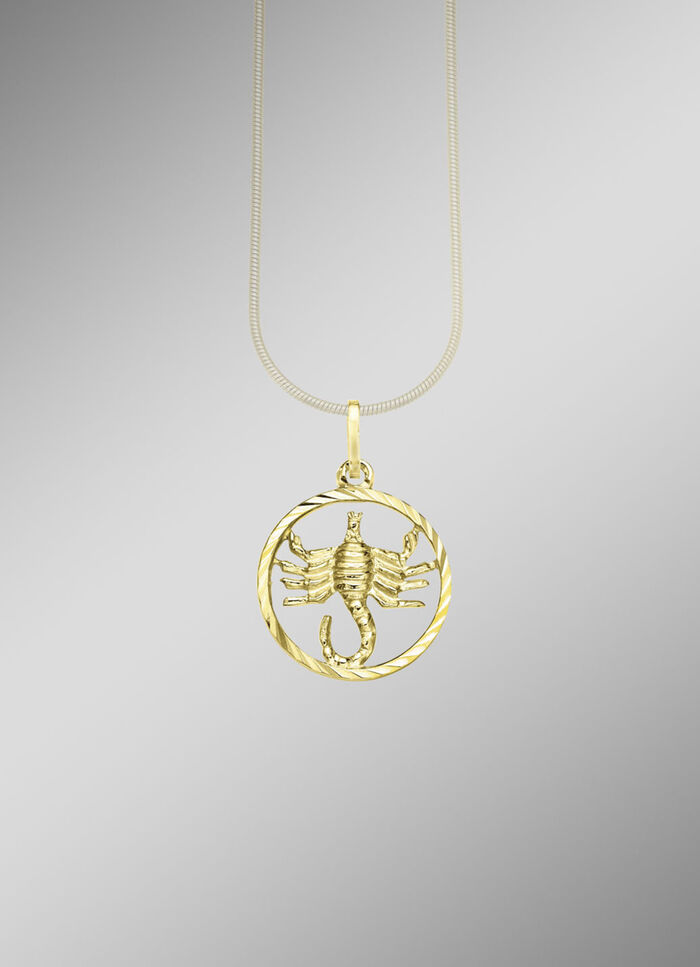 Sternzeichen-Anhänger in Silber 925/- fein 