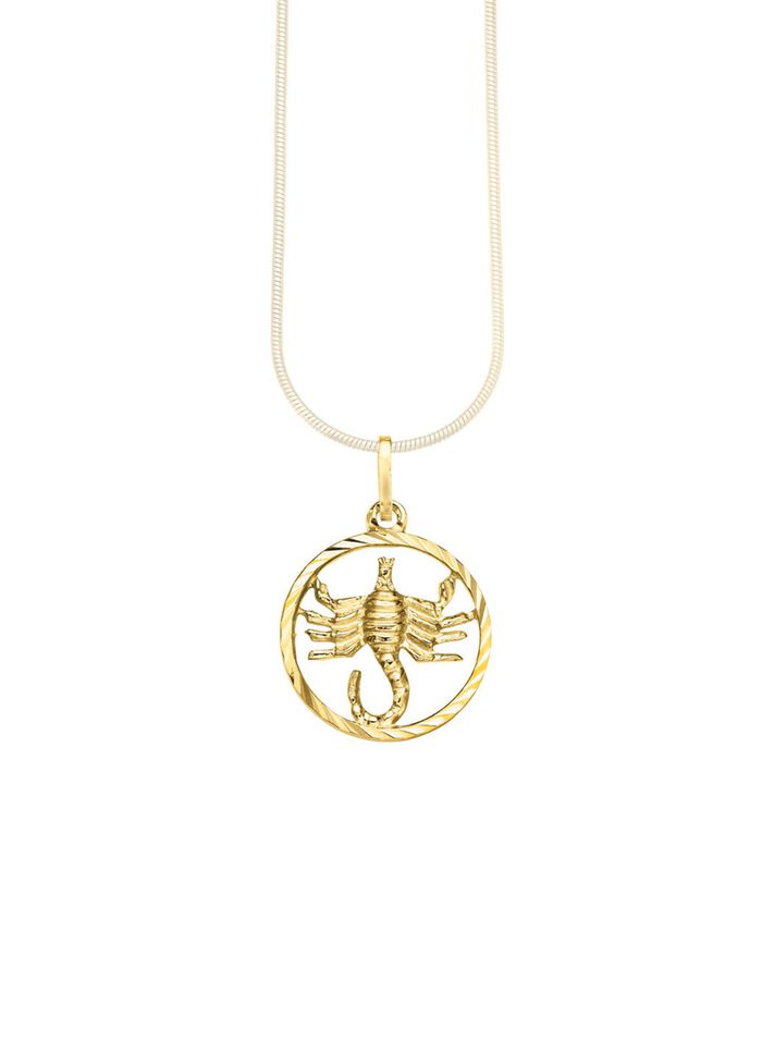 Sternzeichen-Anh&auml;nger in Silber 925/- fein 