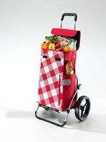 Einkaufsroller 