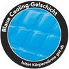 Logo_BlaueCoolingGelschicht