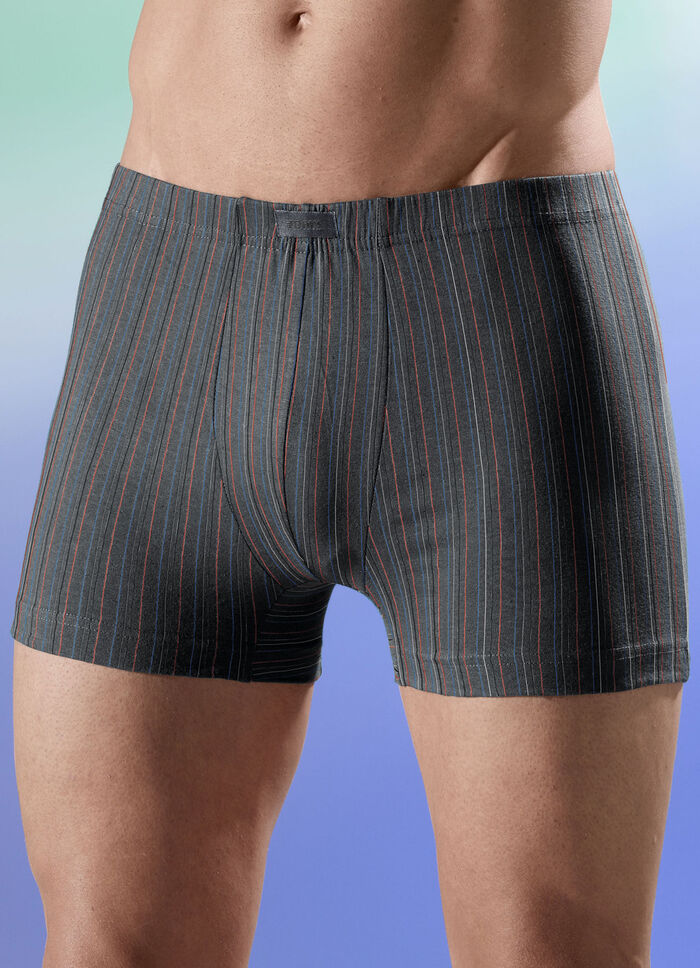 Viererpack Pants mit Streifendessin 