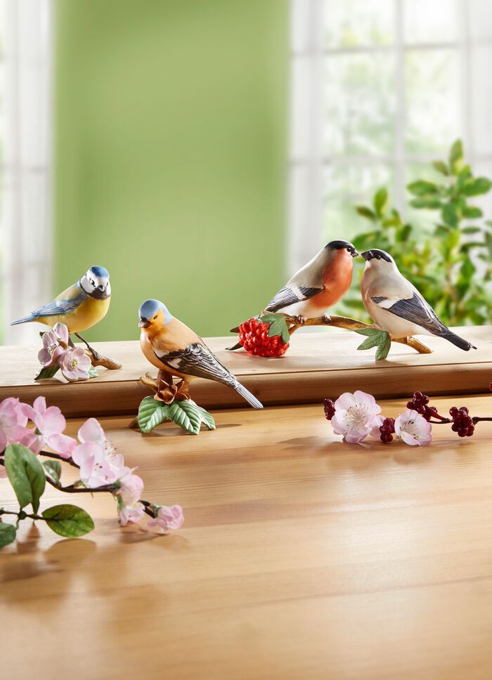 Vogel-Figuren aus hochwertigem Biskuitporzellan BUNT