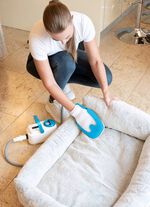 Dampfreiniger Livington SteamTouch 