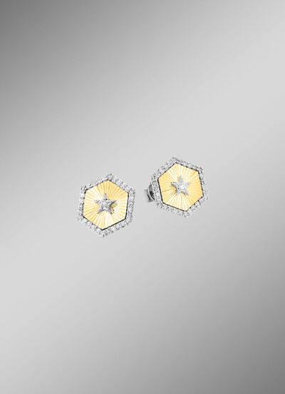 Ohrstecker in Bicolor mit 2 Brillanten und 60 Diamanten 