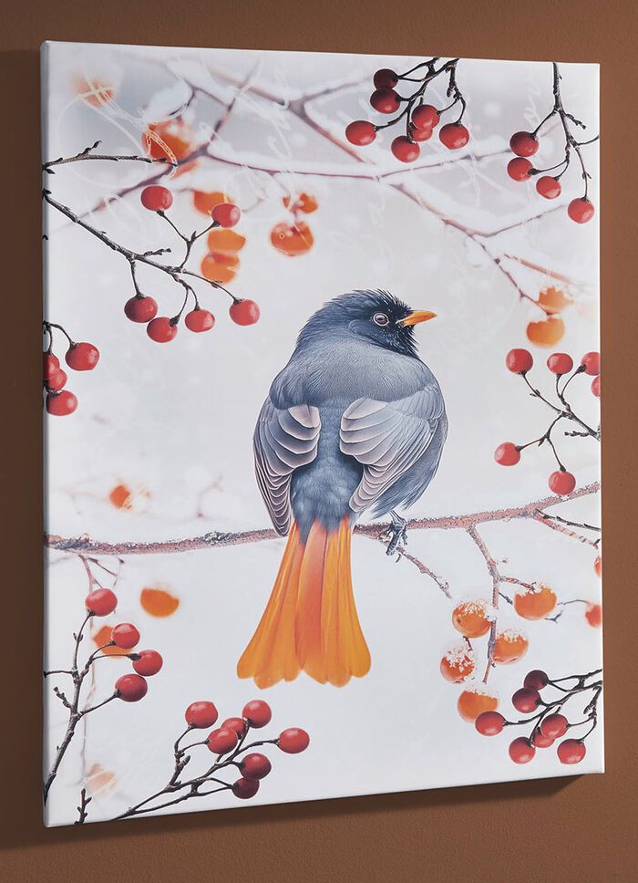 Bild Vogel des Jahres 2025 Hausrotschwanz auf Leinwand 