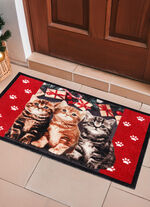 Fussmatte mit beschichteter Rückseite 