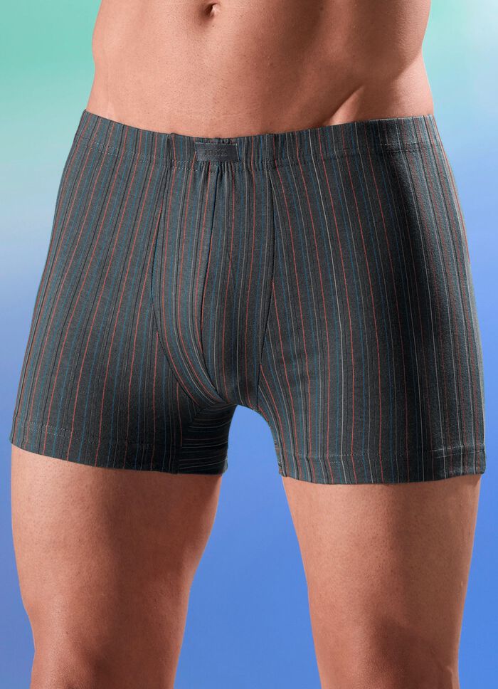 Viererpack Pants mit Dehnbund 