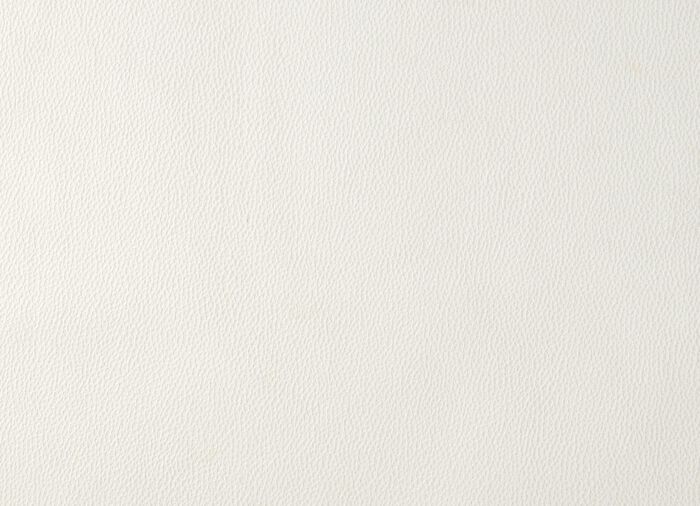 Tierfreundliche Schutzdecken für Sessel und Sofa CREME
