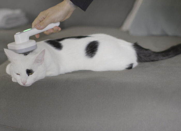 «PiddiPet IonBrush» Tierhaarbürste i 