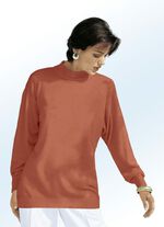 Pullover mit Combi-Wollsiegel TERRA