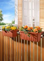 Balkonkasten Rondine, 2er-Set 