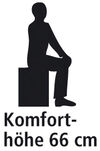 BADERde_CH1Logo_Komforthoehe_66cm