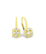 Edle Ohrringe mit Brillanten 