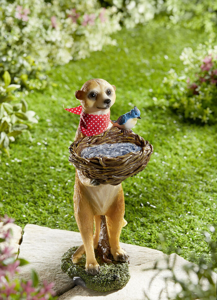 Vogeltränke Erdmännchen mit Vogelnest 