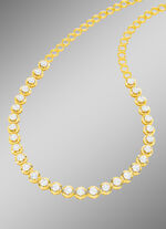 Exklusives Diamant-Collie 