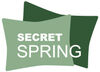 BADERde_CH1Logo_SecretSpring