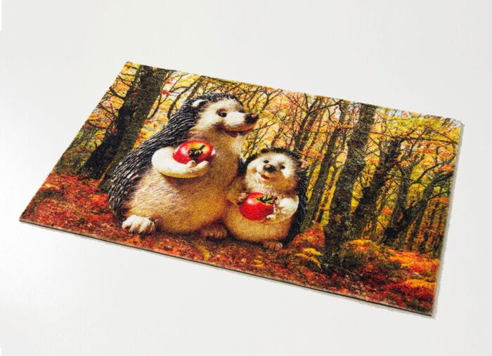 Fussmatte Igel aus 100% Polyamid 