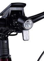 E-Bike Deluxe SUV Easy BURGUND-GLANZ