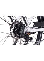 E-Bike Comfort Sport Easy von SAXXX 