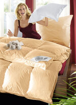Daunen-Bettwaren-Programm von OBB APRICOT