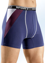 Viererpack Pants, uni mit farbigen Einsätzen 