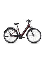 E-Bike Comfort Plus 5.0 von Saxonette 