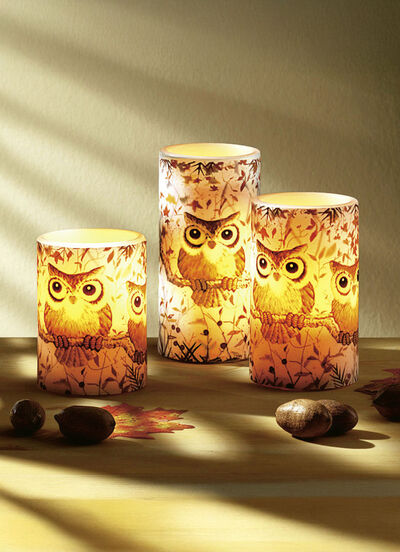 LED-Echtwachskerzen «Eulen», 3er-Set 