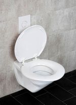 Toilettensitz XXL mit extra breiter Sitzfl&auml;che 