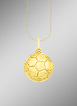 Anh&auml;nger  f&uuml;r Fussballfans 